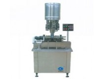 DG-6L style Automatic Capping Machine